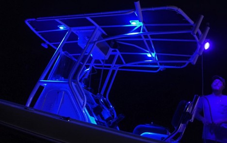 LED lights on one of tops at night for the best light show on the water from Conmercial Boat Towers in Liberty Hill, SC